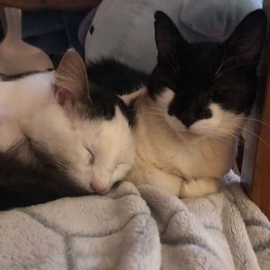 Meet your Posher, Adrianna